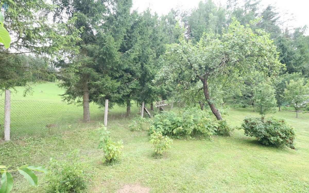 - Sklypas Yra Anykščių Mieste, Šalia Pušyno - nuotraukos Nr. 5