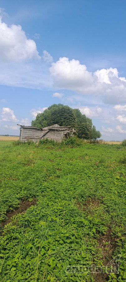Parduodama Sodybavietė Su 8,81 Ha Žemės – - nuotraukos Nr. 4