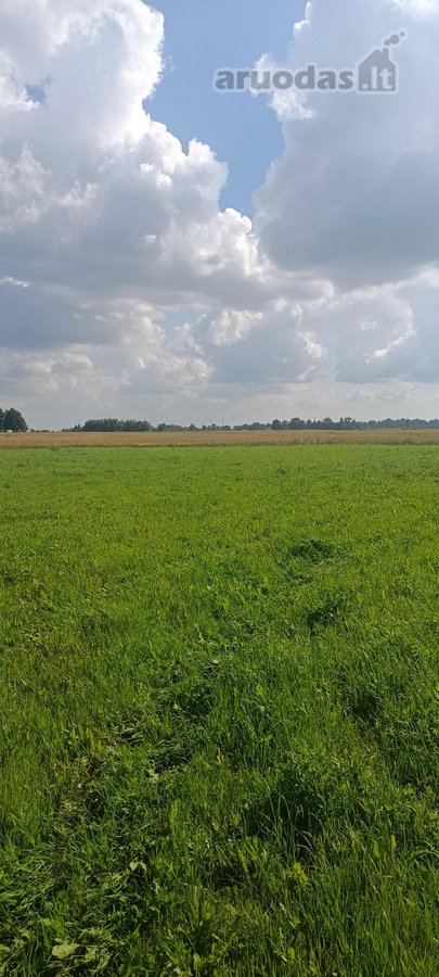 Parduodama Sodybavietė Su 8,81 Ha Žemės – - nuotraukos Nr. 5