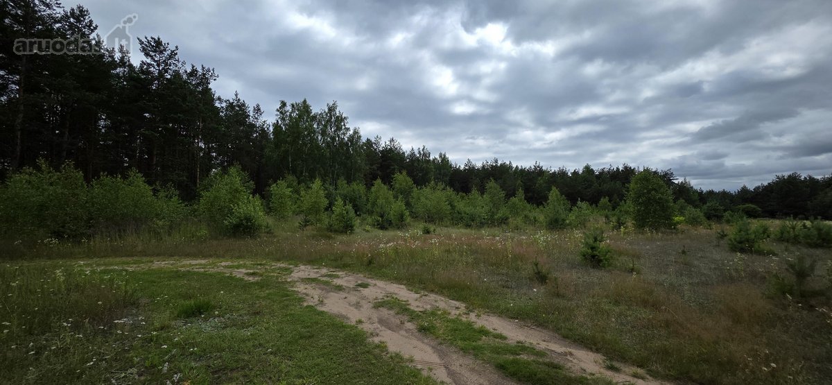 Parduodami žemės ūkio paskirties sklypai - nuotraukos Nr. 34