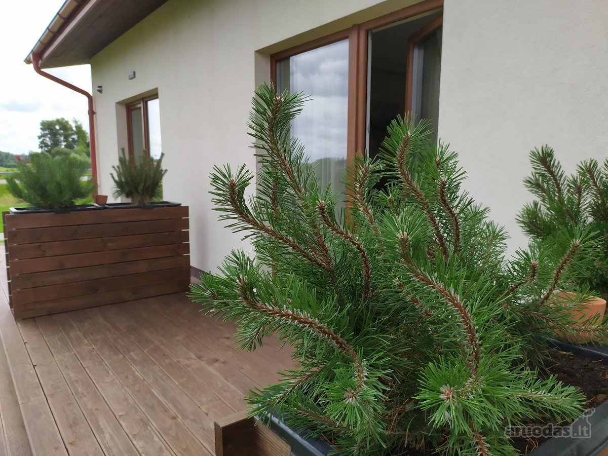 Parduodamas Išskirtinis Restoranas-motelis - nuotraukos Nr. 12