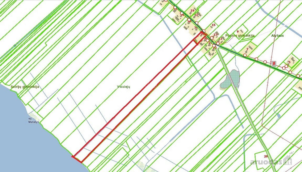 Unikalioje vietoje prie Metelio ež. - nuotraukos Nr. 14
