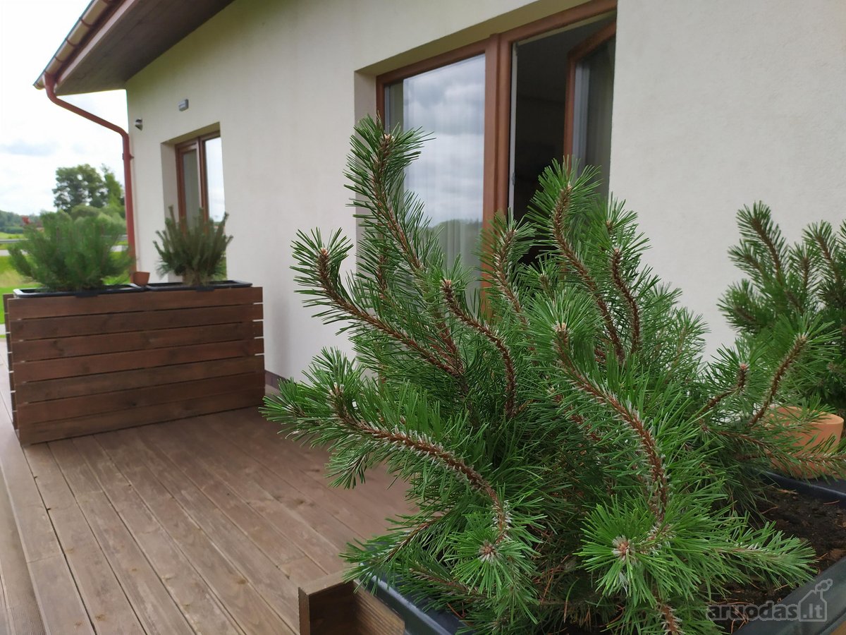 Parduodamas Išskirtinis Restoranas-motelis - nuotraukos Nr. 73
