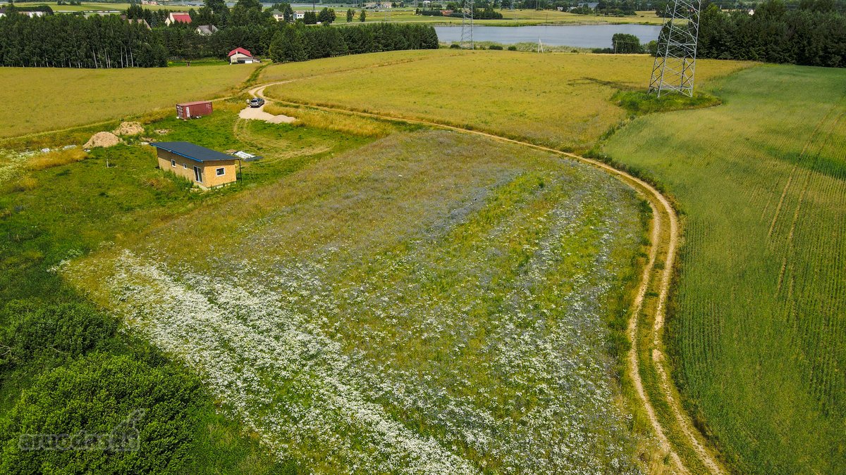 Parduodamas namų valdos sklypas ežerų apsuptyje! - nuotraukos Nr. 11