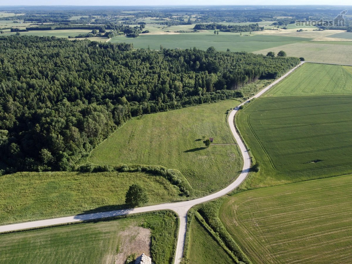 Širvintų r. sav., Vyšnialaukio kaime, - nuotraukos Nr. 3