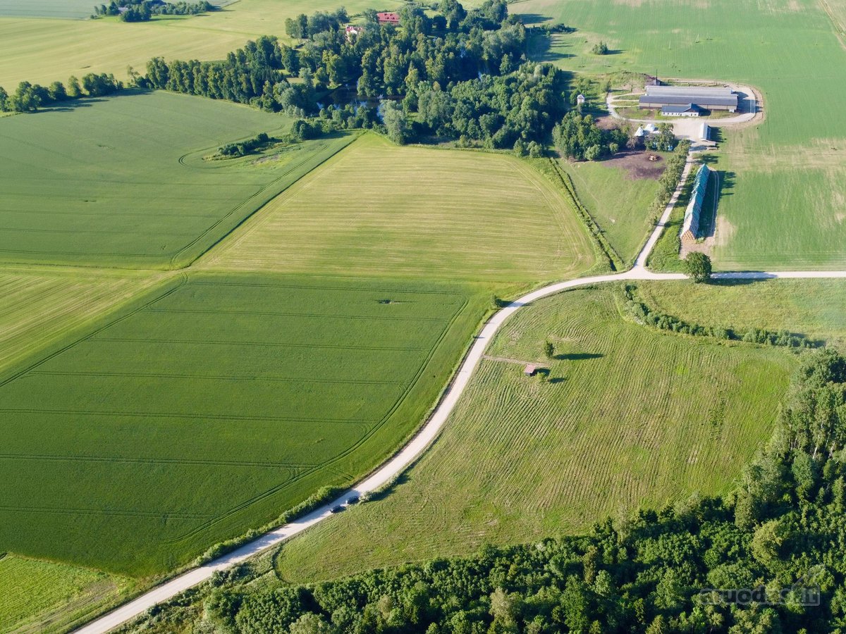 Širvintų r. sav., Vyšnialaukio kaime, - nuotraukos Nr. 4