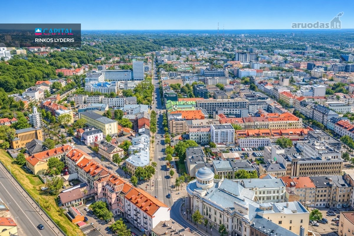 Parduodamas Itin Erdvus Tvarkingas Butas Su - nuotraukos Nr. 44