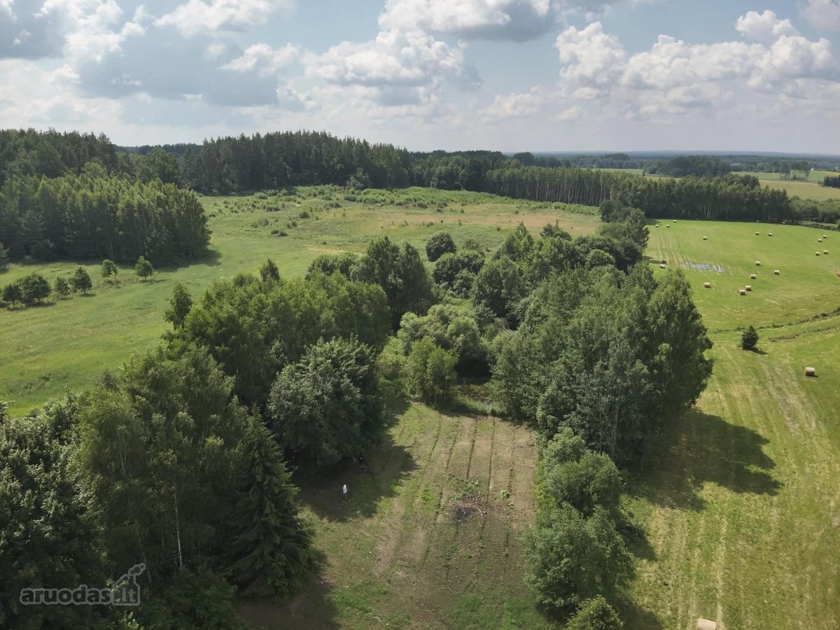 Parduodami Du Besiribojantys Sklypai Puntūzų - nuotraukos Nr. 5