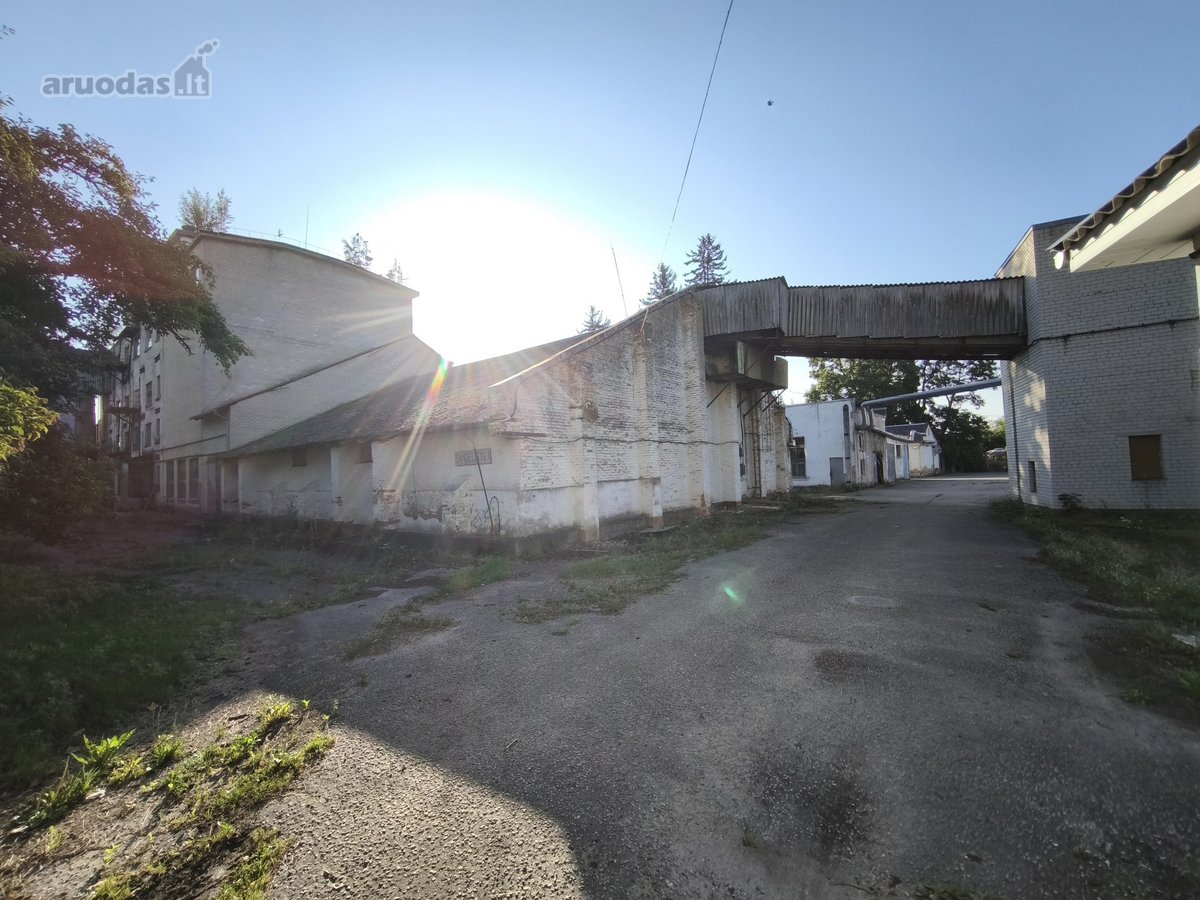 Parduodamas žemės sklypas 2,3902 ha su jame - nuotraukos Nr. 4