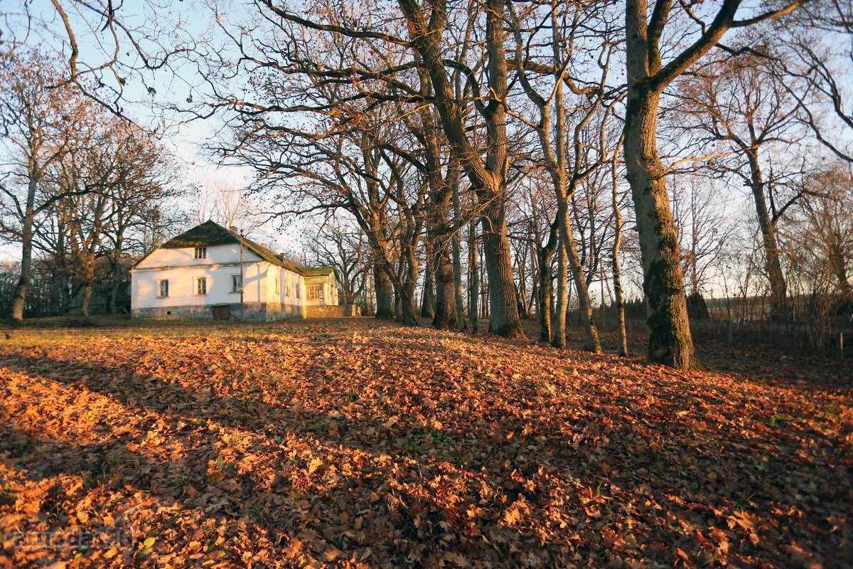 Parduodamas Pašiaušės dvaras esantis Kelmės - nuotraukos Nr. 26