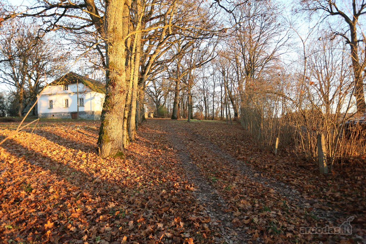 Parduodamas Pašiaušės dvaras esantis Kelmės - nuotraukos Nr. 23