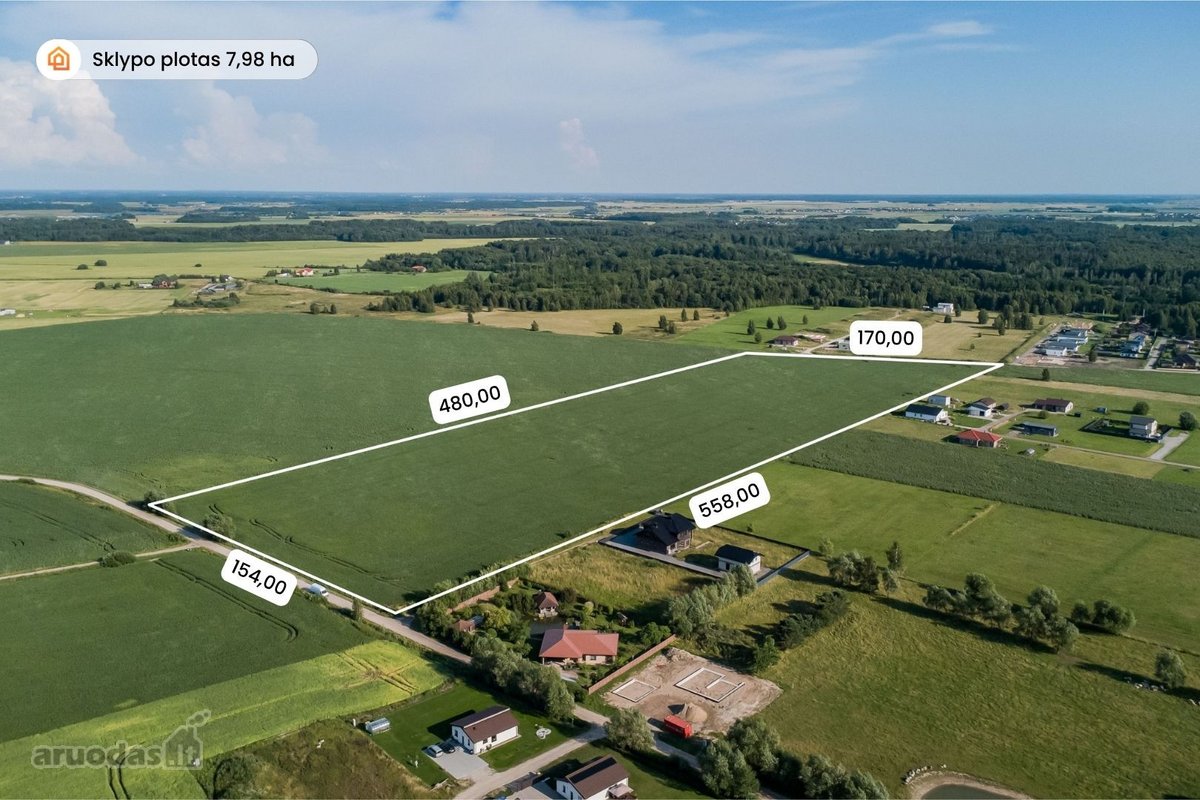 Radailiai – viena patraukliausių Klaipėdos - nuotraukos Nr. 2