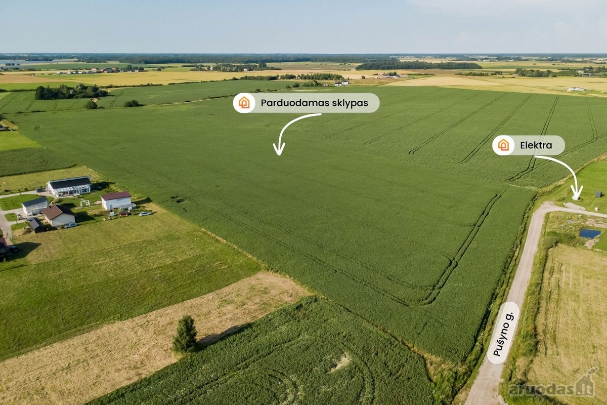 Radailiai – viena patraukliausių Klaipėdos - nuotraukos Nr. 6
