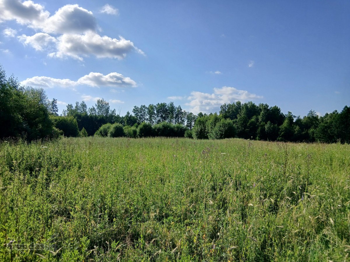 Žemės ūkio paskirties sklypas Arnionyse, - nuotraukos Nr. 2