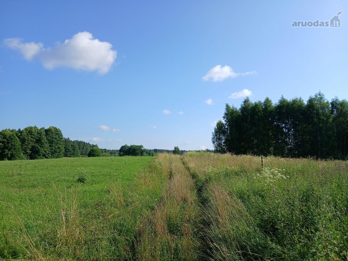 Žemės ūkio paskirties sklypas Arnionyse, - nuotraukos Nr. 4