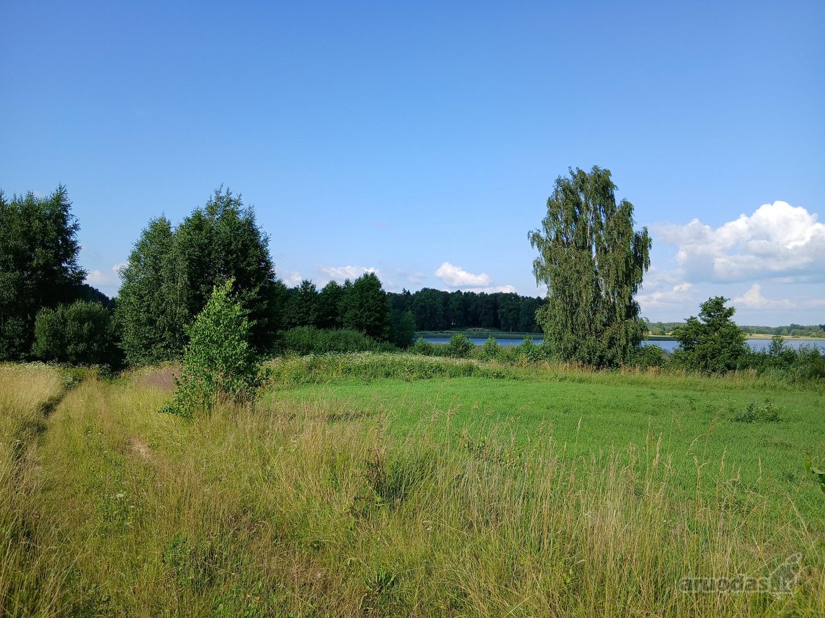 Žemės ūkio paskirties sklypas Arnionyse, - nuotraukos Nr. 7