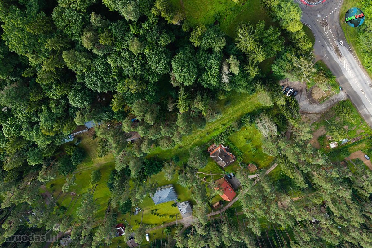 Parfduodamas Išskirtinis, 25 a. sklypas - nuotraukos Nr. 6