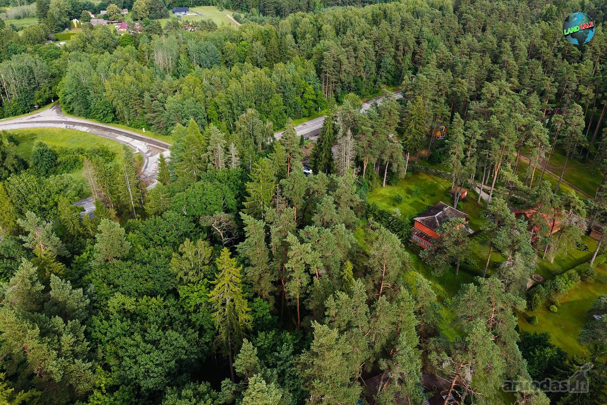 Parfduodamas Išskirtinis, 25 a. sklypas - nuotraukos Nr. 8