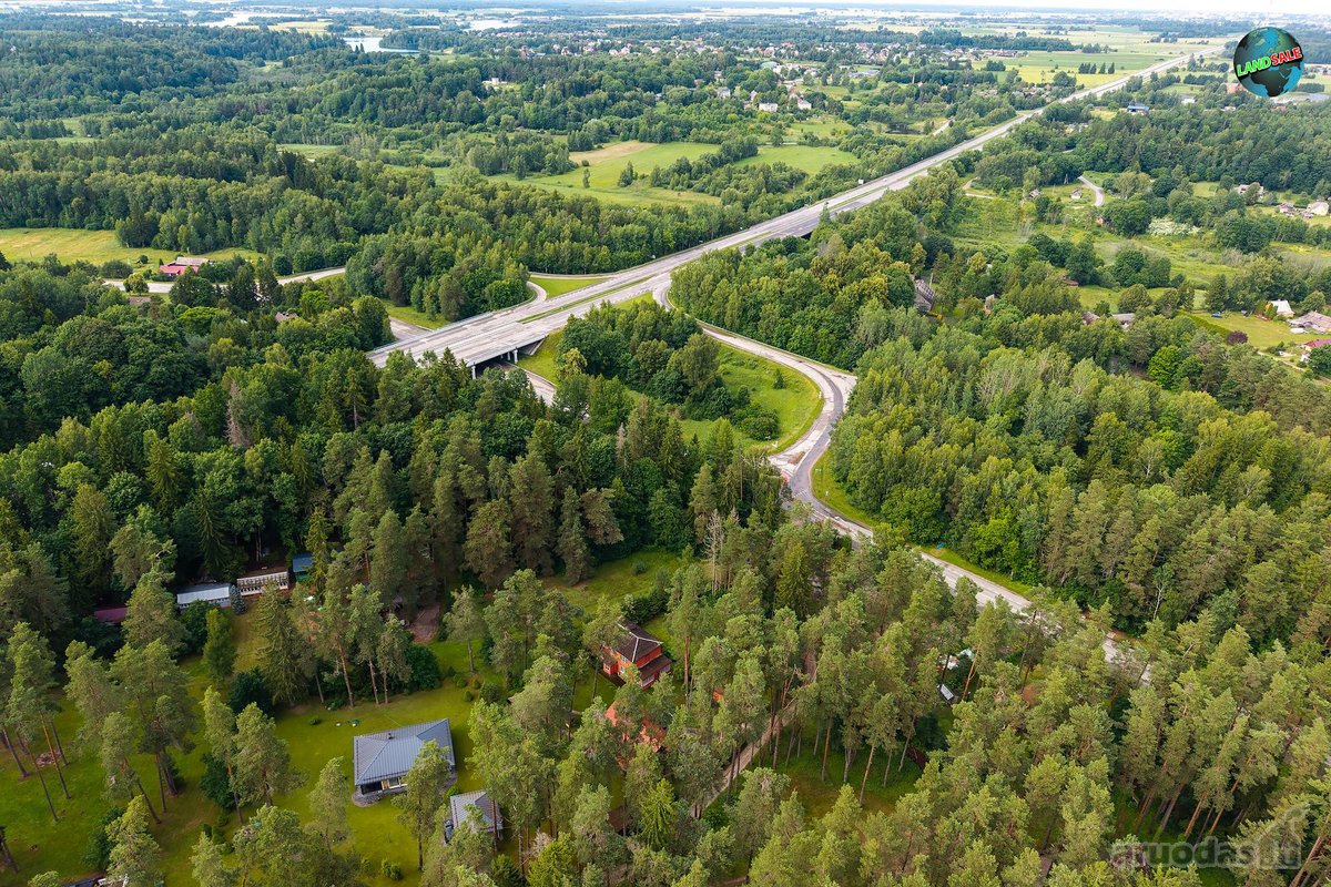 Parfduodamas Išskirtinis, 25 a. sklypas - nuotraukos Nr. 12