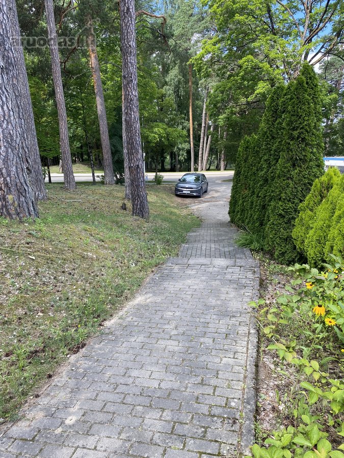 Namas Druskininkų Centre, Priešais Druskonio Ežerą - nuotraukos Nr. 13