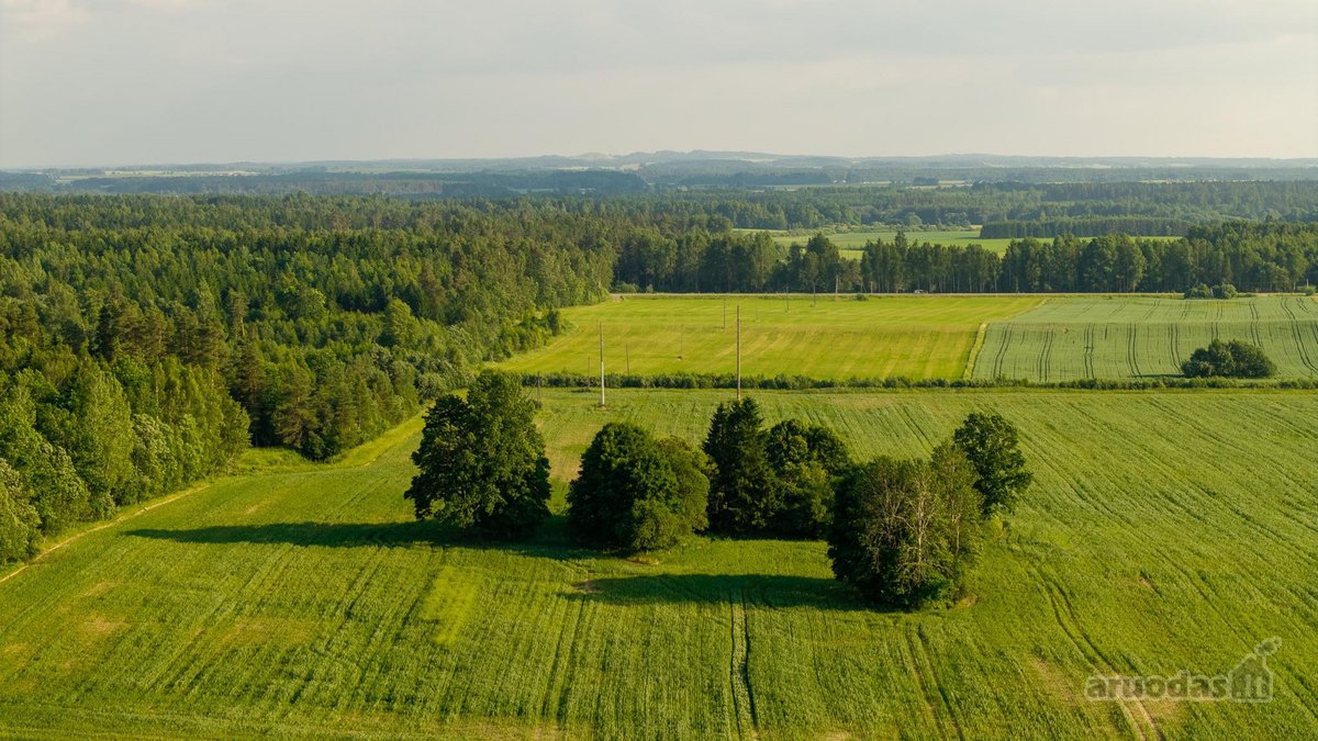 Parduodama sena sodyba su 2,5 ha žemės sklypu - nuotraukos Nr. 4
