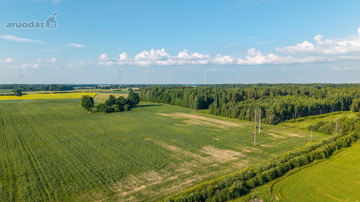 Parduodama sena sodyba su 2,5 ha žemės sklypu - nuotraukos Nr. 5