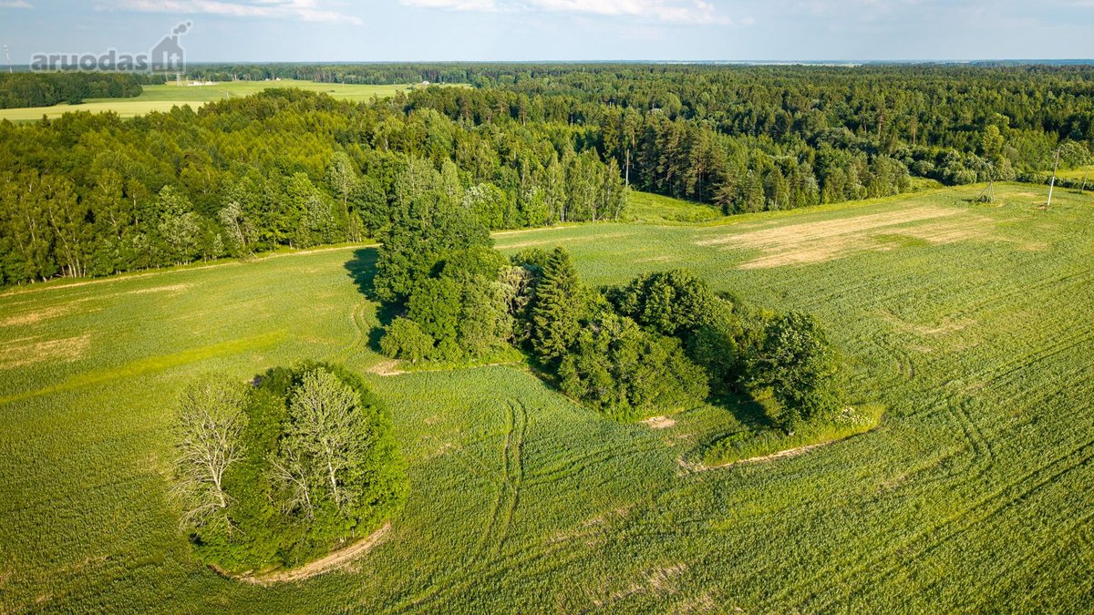 Parduodama sena sodyba su 2,5 ha žemės sklypu - nuotraukos Nr. 6