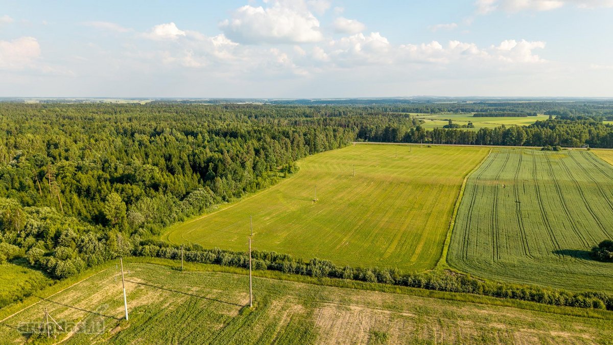 Parduodama sena sodyba su 2,5 ha žemės sklypu - nuotraukos Nr. 7