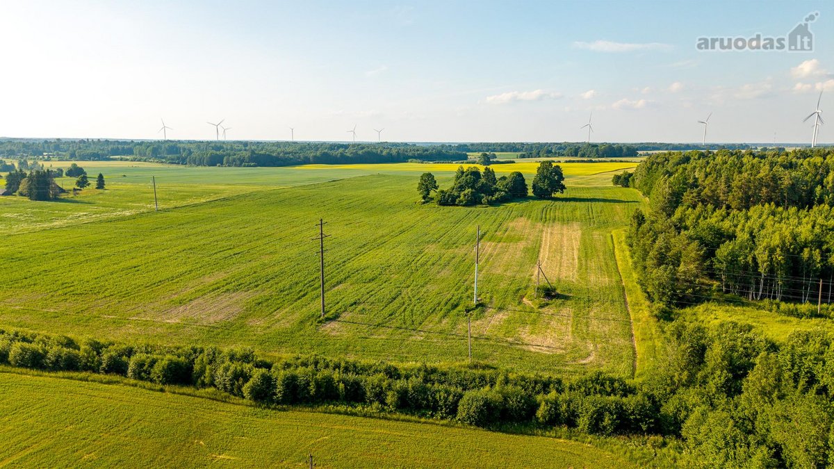 Parduodama sena sodyba su 2,5 ha žemės sklypu - nuotraukos Nr. 8