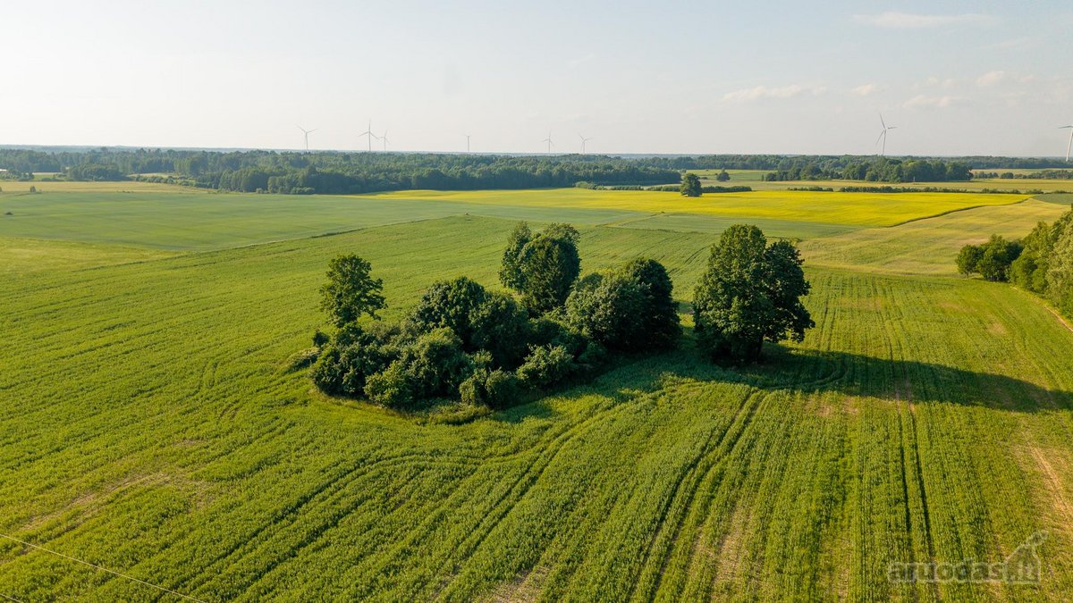 Parduodama sena sodyba su 2,5 ha žemės sklypu - nuotraukos Nr. 9