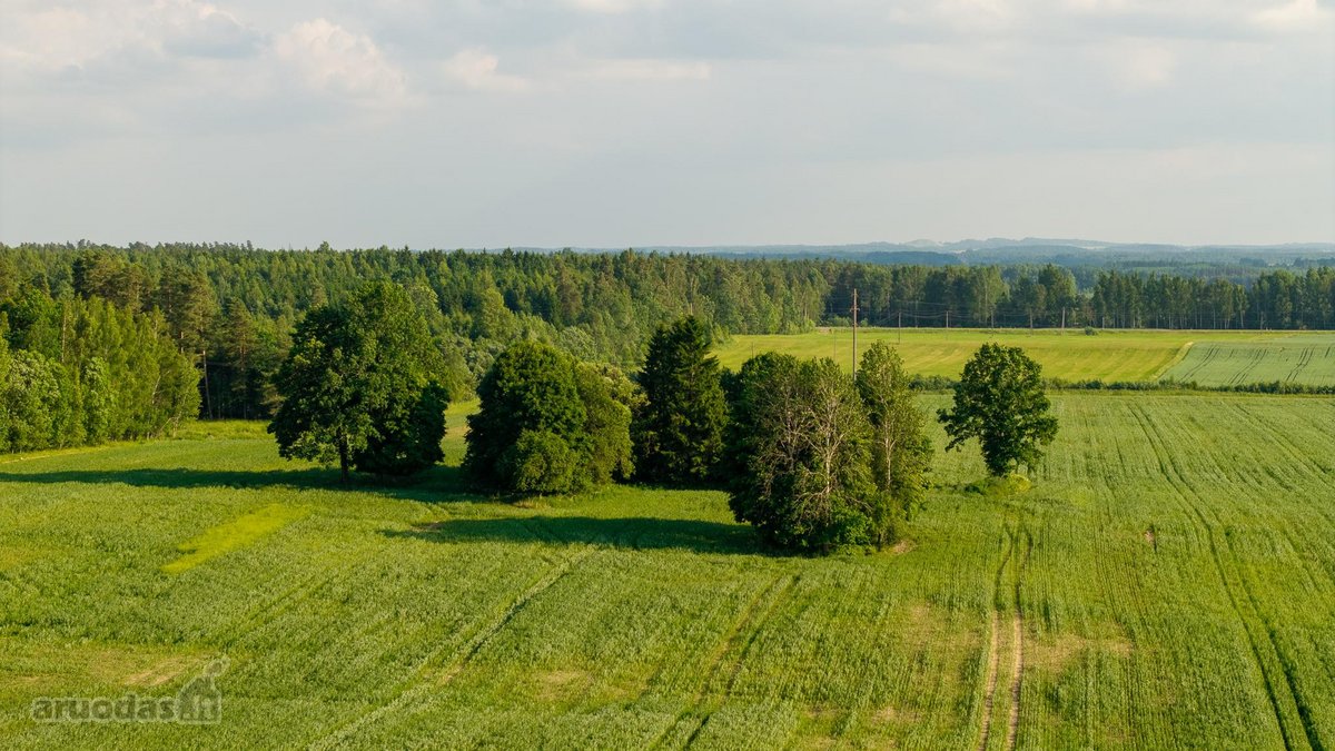 Parduodama sena sodyba su 2,5 ha žemės sklypu - nuotraukos Nr. 11