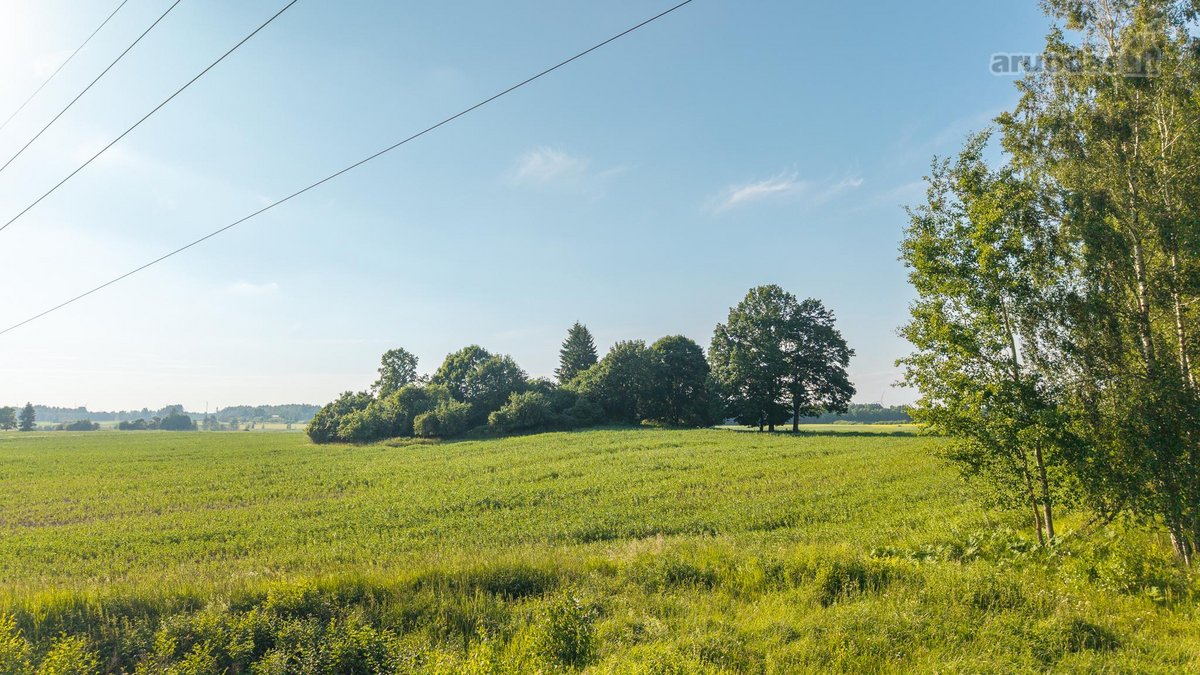 Parduodama sena sodyba su 2,5 ha žemės sklypu - nuotraukos Nr. 13