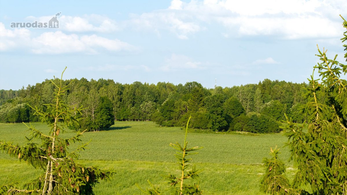 Parduodama sena sodyba su 2,5 ha žemės sklypu - nuotraukos Nr. 14