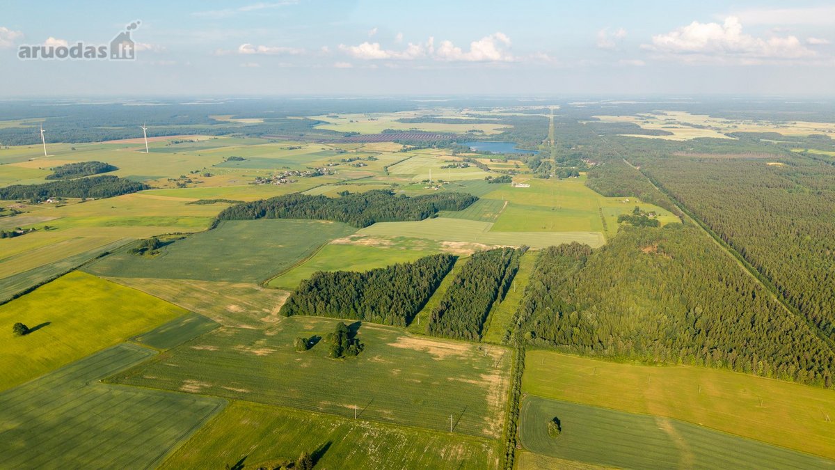 Parduodama sena sodyba su 2,5 ha žemės sklypu - nuotraukos Nr. 15