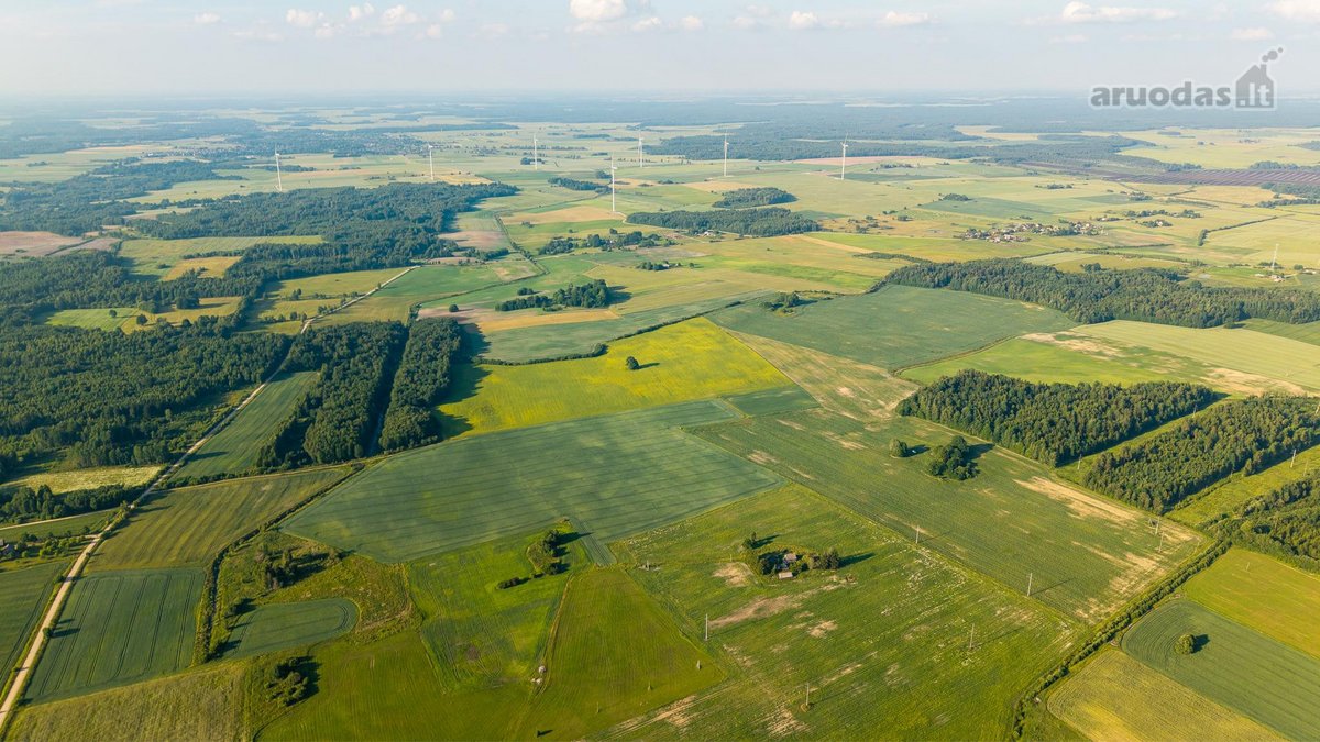 Parduodama sena sodyba su 2,5 ha žemės sklypu - nuotraukos Nr. 16