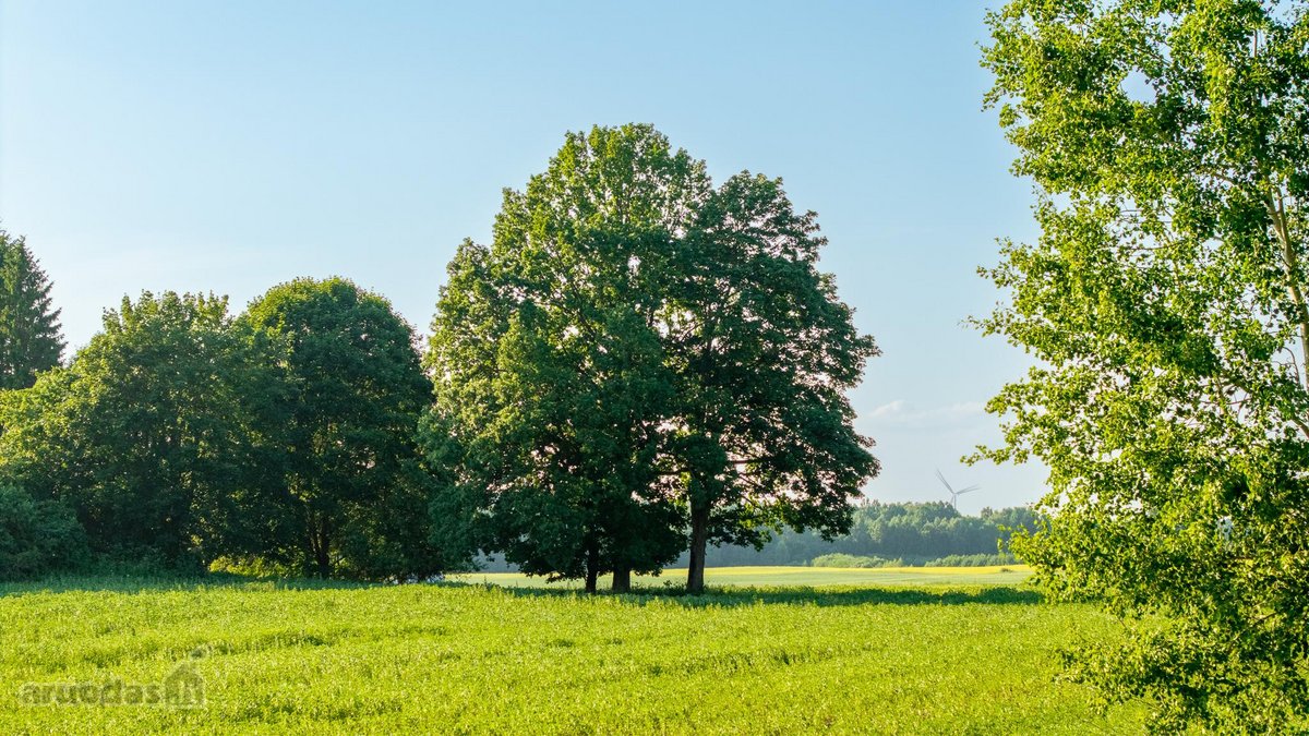 Parduodama sena sodyba su 2,5 ha žemės sklypu - nuotraukos Nr. 17