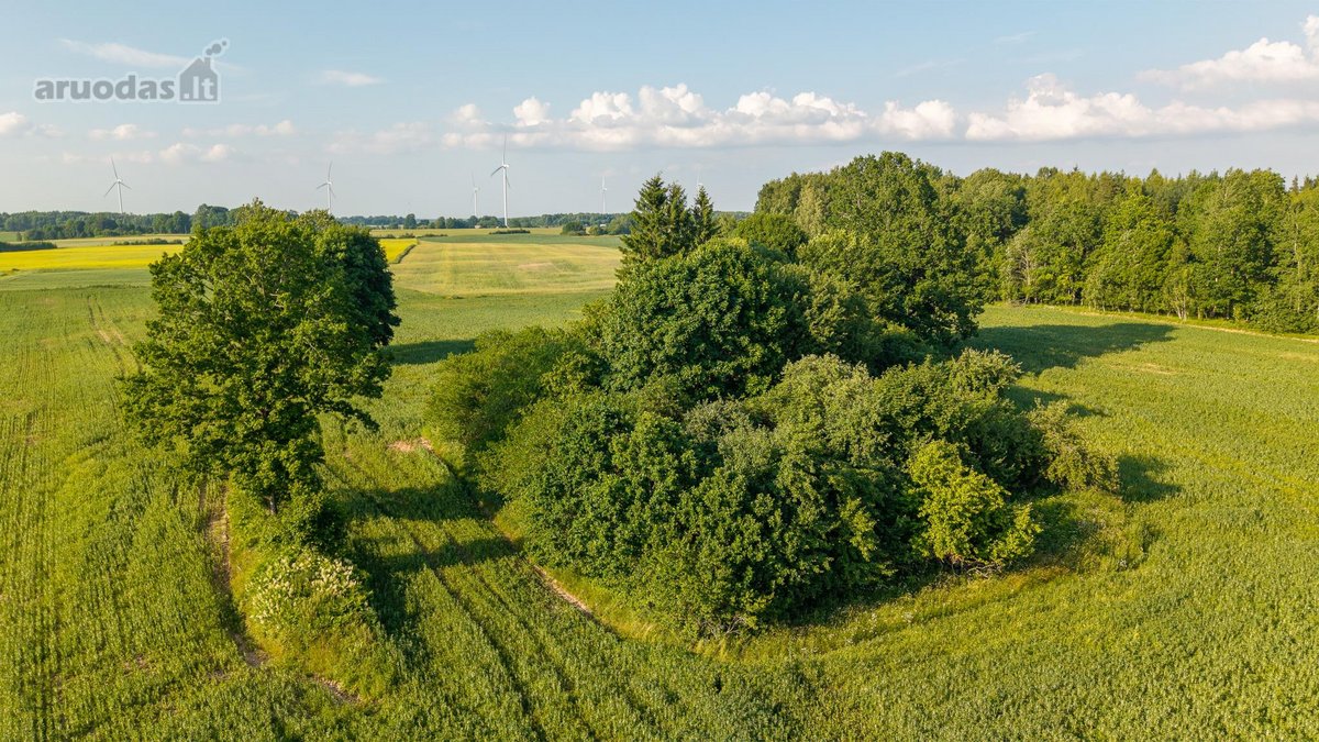 Parduodama sena sodyba su 2,5 ha žemės sklypu - nuotraukos Nr. 20