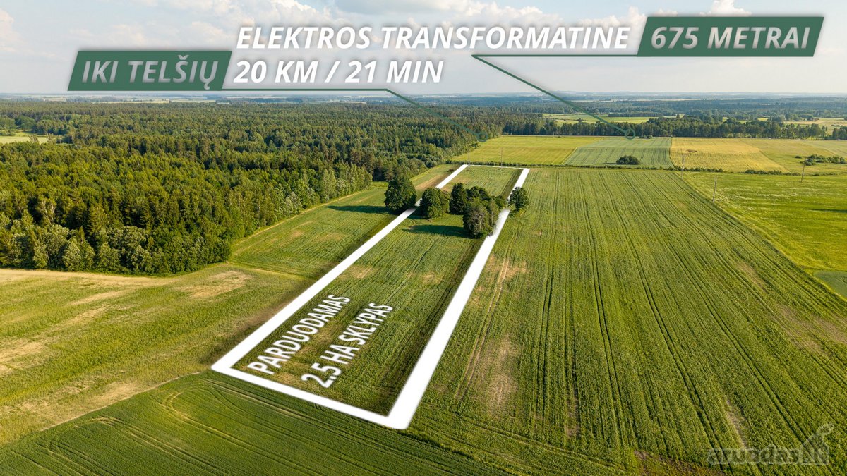 Parduodama sena sodyba su 2,5 ha žemės sklypu - nuotraukos Nr. 3