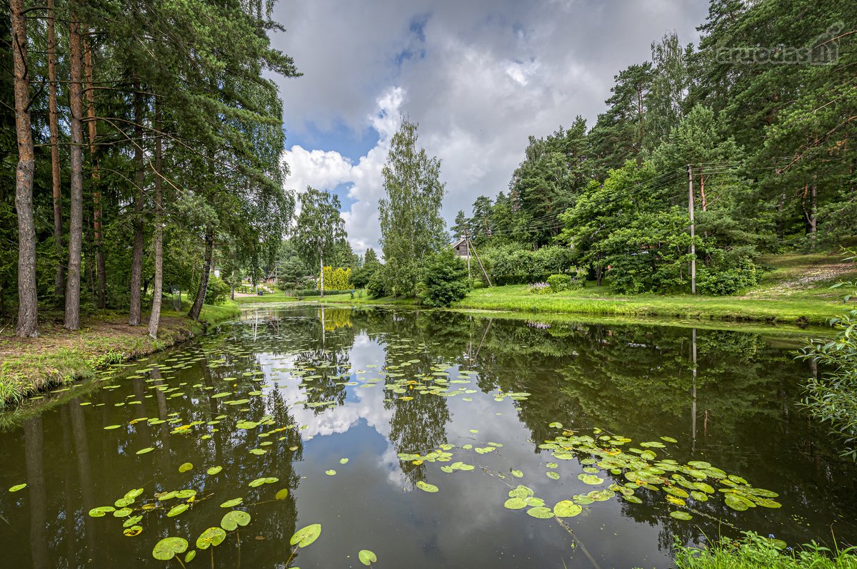 Parduodamas sodo namas Drąseikiuose, kur - nuotraukos Nr. 13