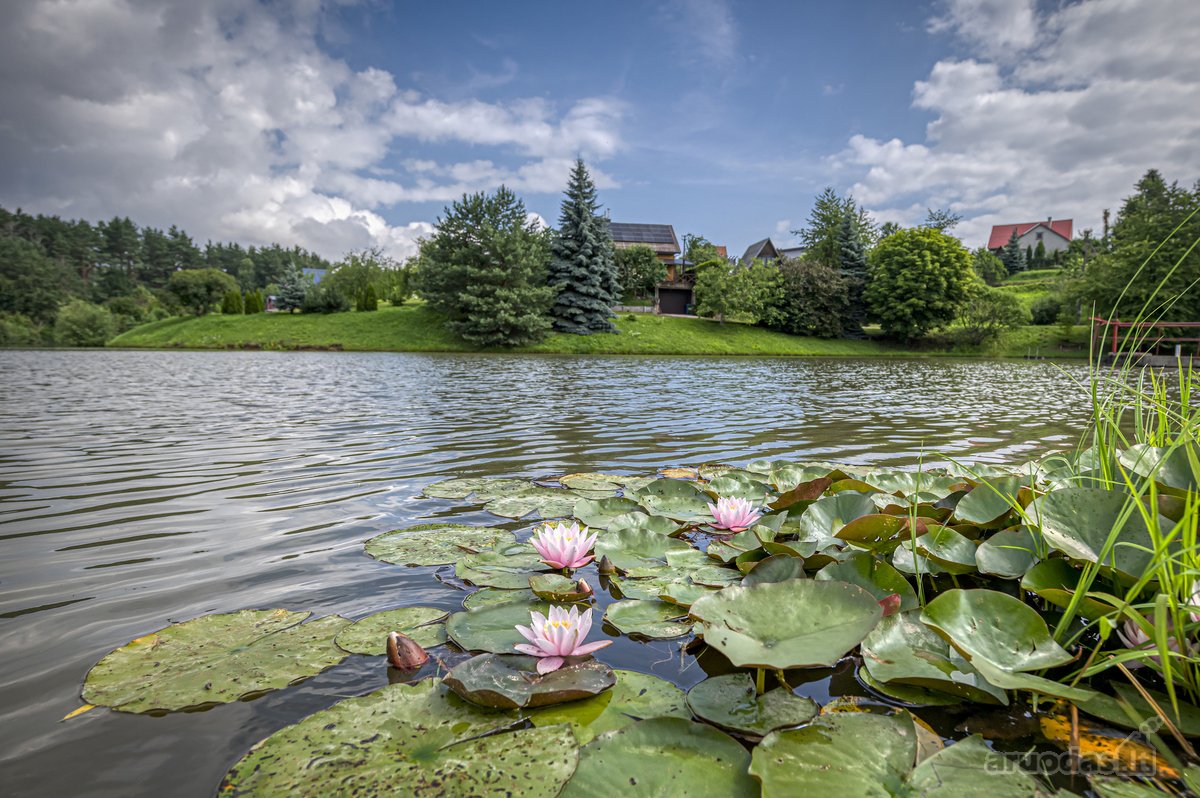 Parduodamas sodo namas Drąseikiuose, kur - nuotraukos Nr. 14