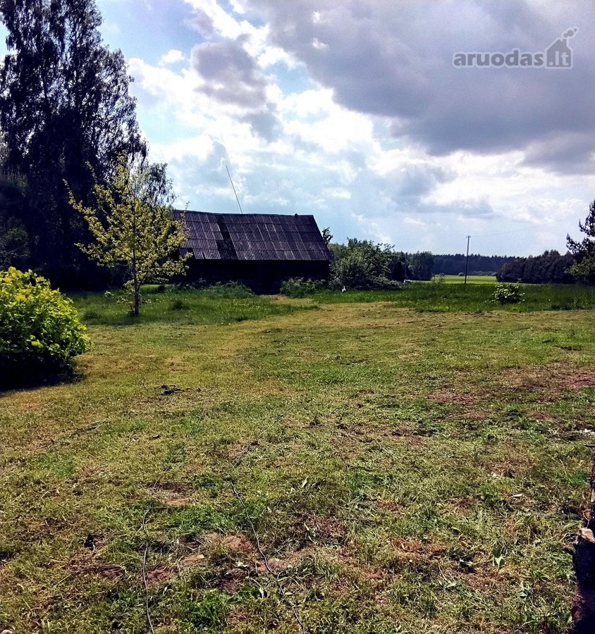 Ramybės kampelis gamtoje: 3,34 ha sklypas su - nuotraukos Nr. 4