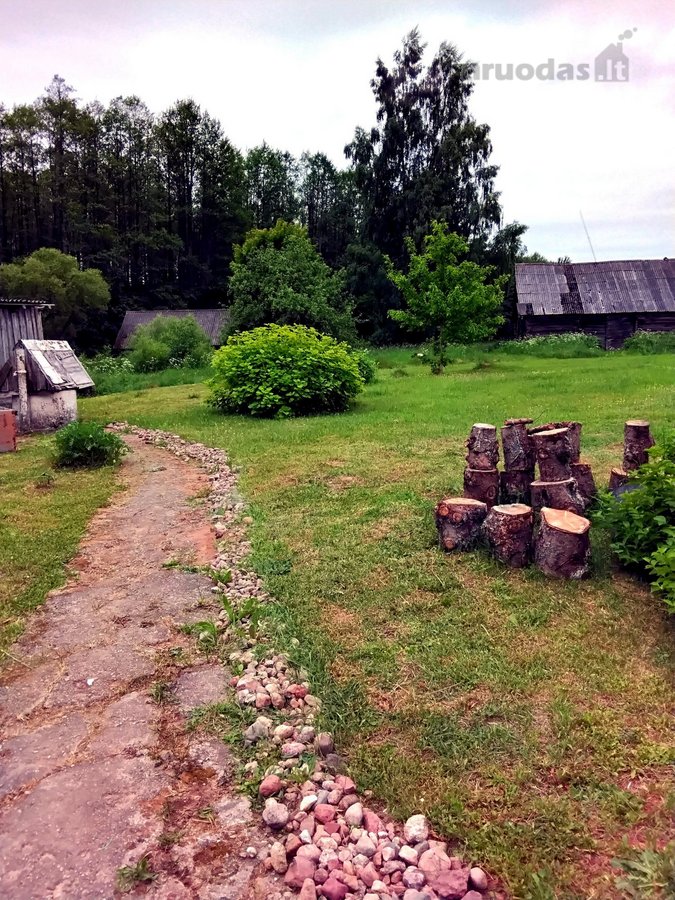 Ramybės kampelis gamtoje: 3,34 ha sklypas su - nuotraukos Nr. 8