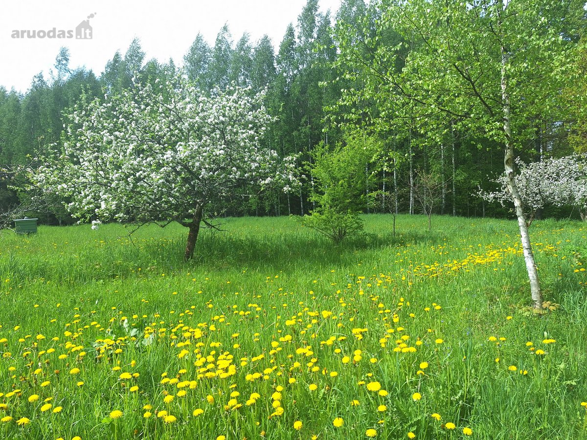 Parduodamas išskirtinis vienkiemis Gerkonyse, - nuotraukos Nr. 7