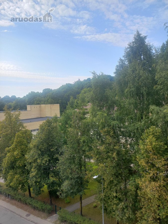 Po kapitalinio remonto išnuomojamas šviesus, - nuotraukos Nr. 2