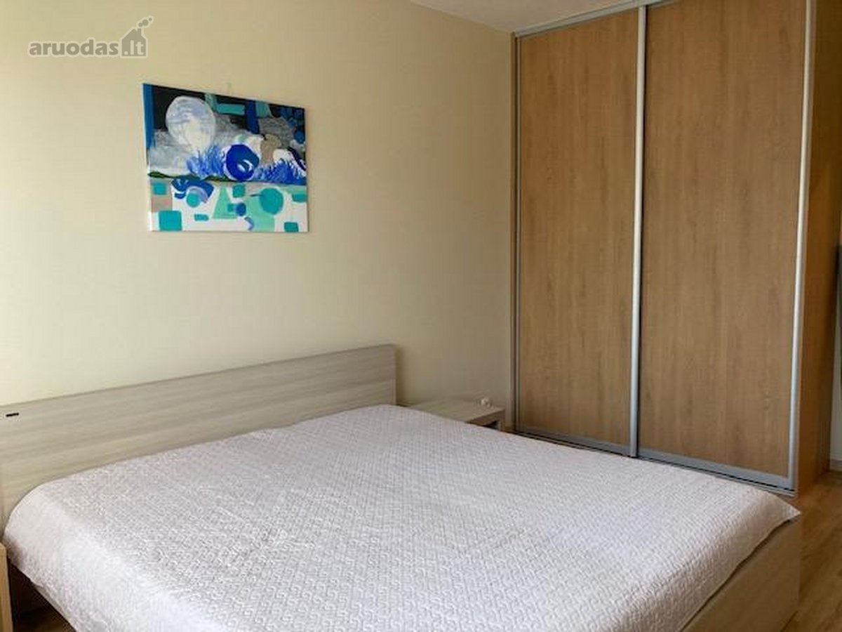 Po kapitalinio remonto išnuomojamas šviesus, - nuotraukos Nr. 3