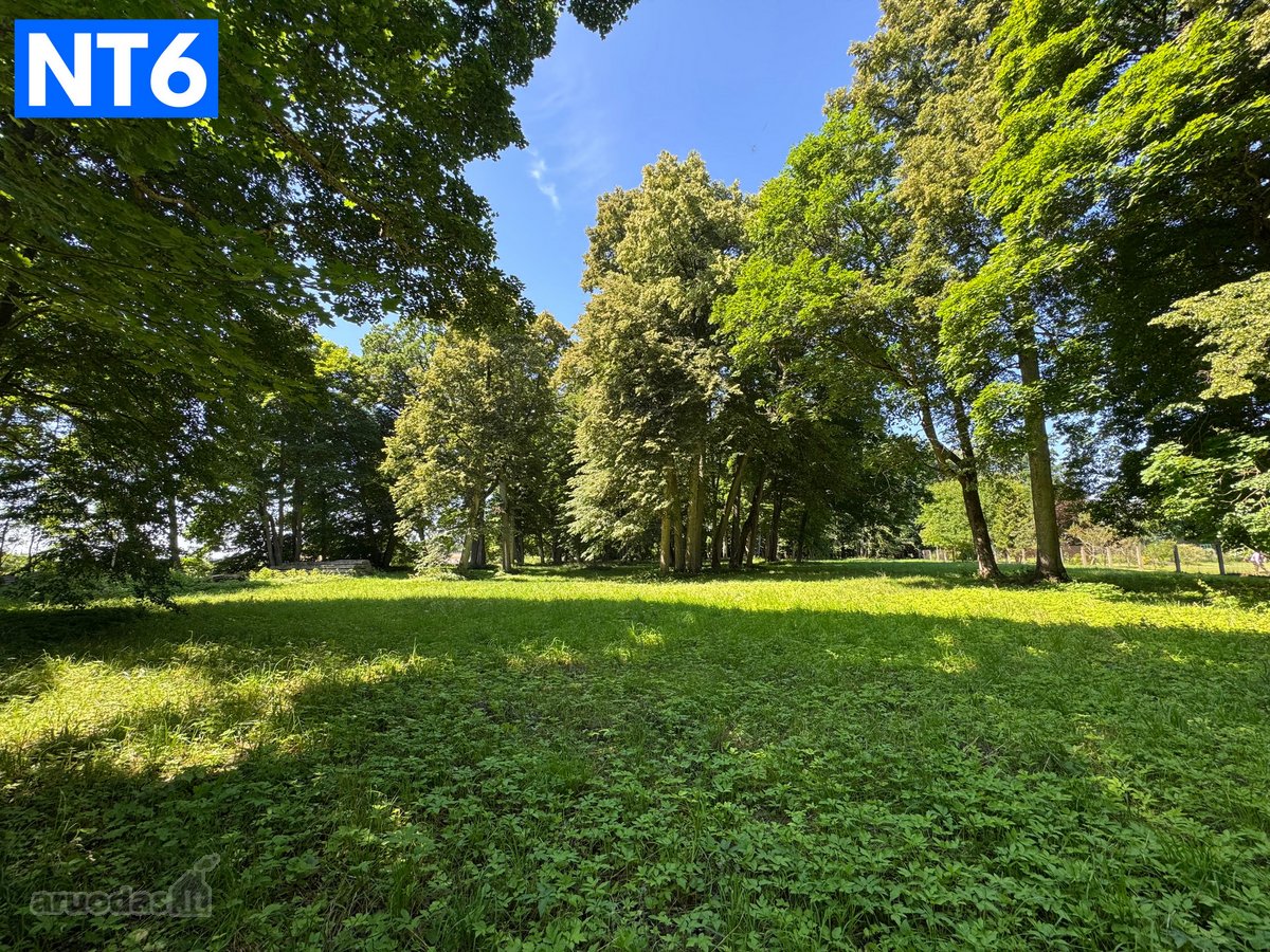  Pirkėjui tarpininkavimo mokestis – netaikomas. - nuotraukos Nr. 7