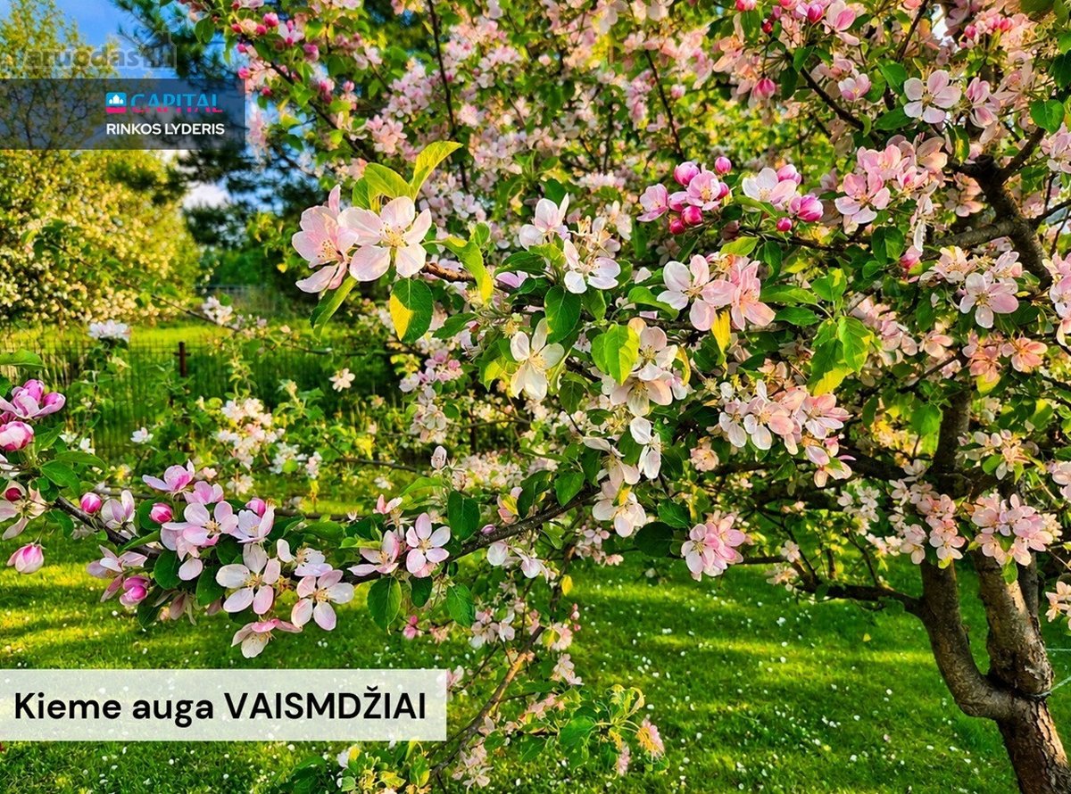 Parduodamas patogus sublokuotas Namas - nuotraukos Nr. 27