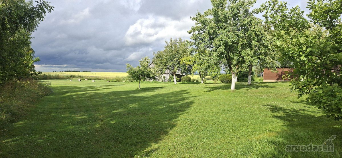 Unikalaus griožio ir vietos sodyba. Šalia - nuotraukos Nr. 11