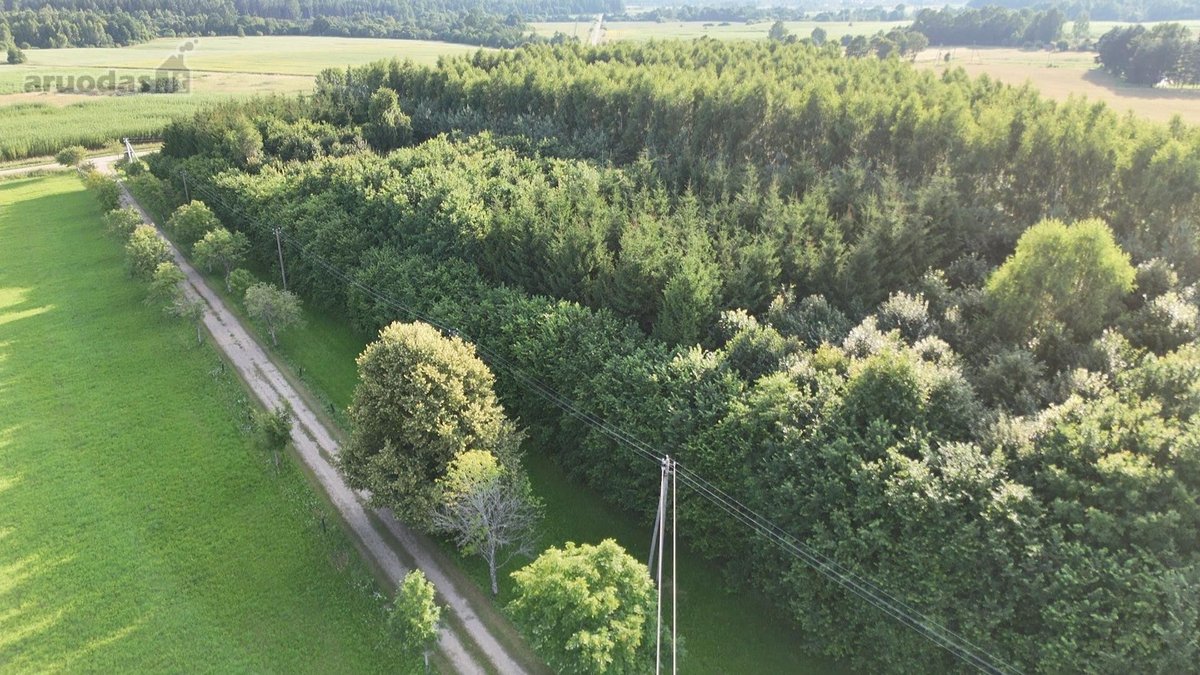 Išskirtinė Sodyba Buvusioje Sutkų Dvaro - nuotraukos Nr. 38