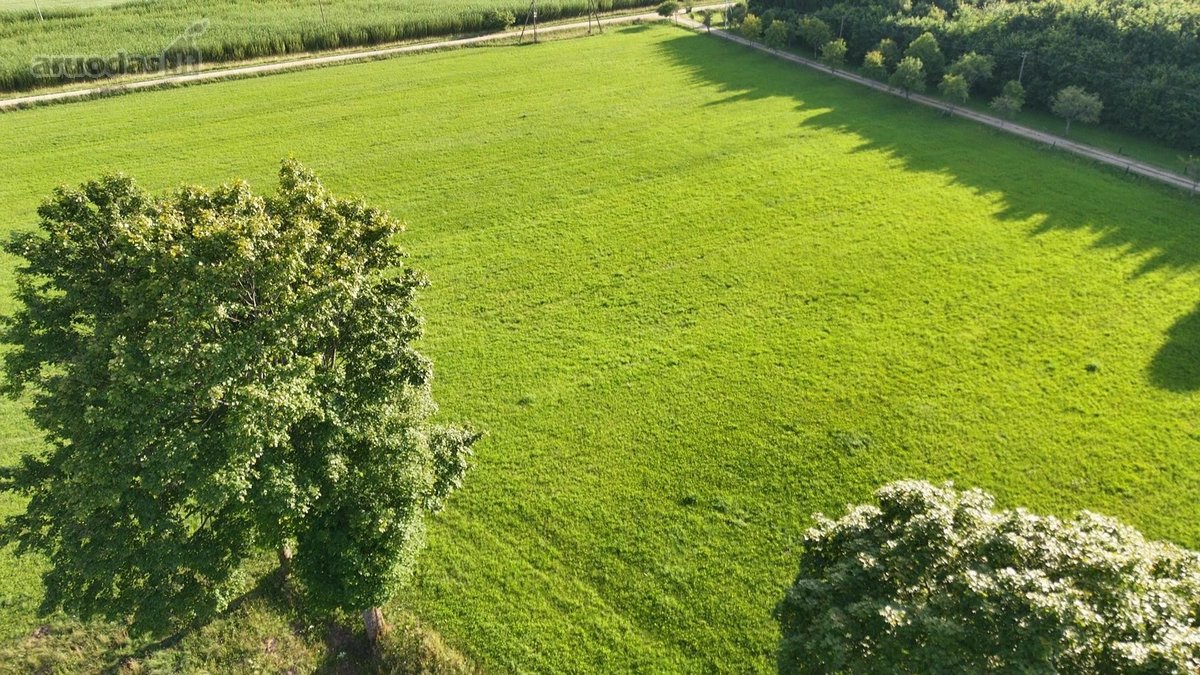 Išskirtinė Sodyba Buvusioje Sutkų Dvaro - nuotraukos Nr. 40